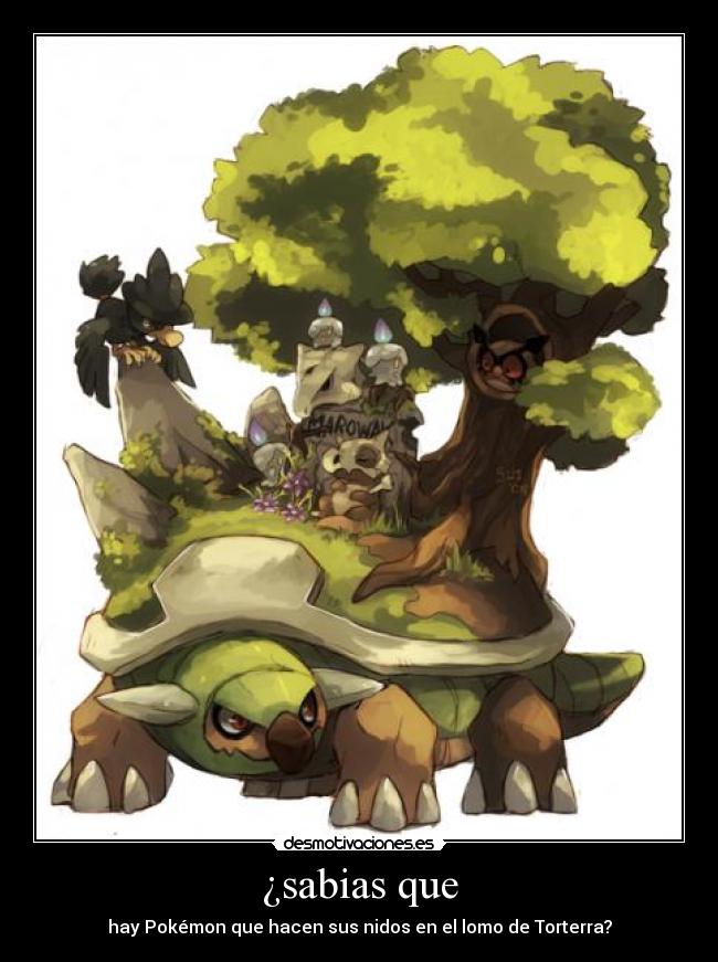 ¿sabias que - hay Pokémon que hacen sus nidos en el lomo de Torterra?