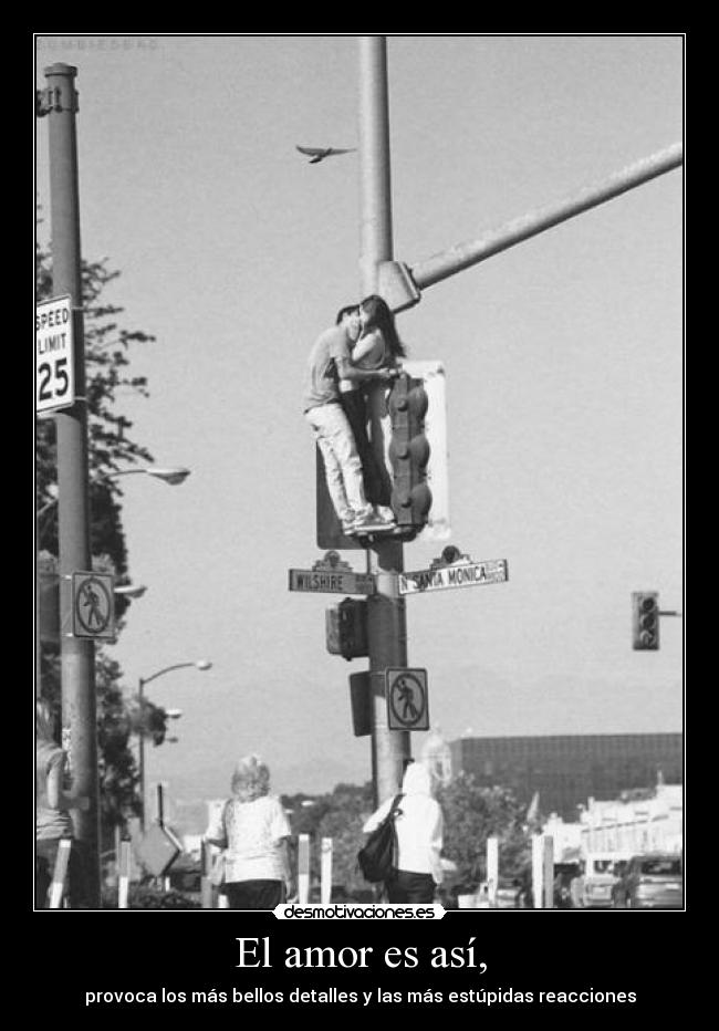 carteles amor dyp desmotivaciones