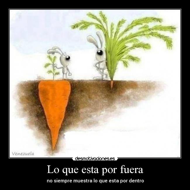 Lo que esta por fuera -
