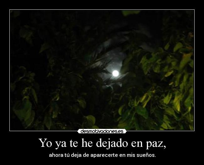 Yo ya te he dejado en paz, - ahora tú deja de aparecerte en mis sueños.
