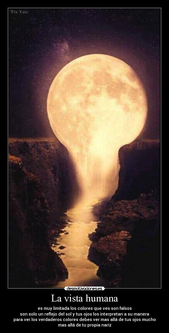 La vista humana -