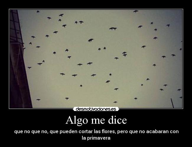 Algo me dice - 