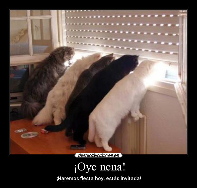 ¡Oye nena! - ¡Haremos fiesta hoy, estás invitada!