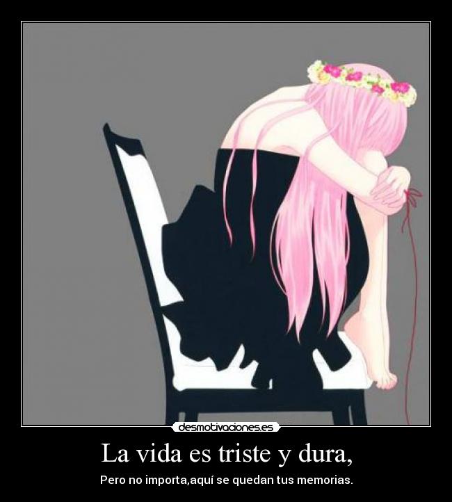 La vida es triste y dura, - Pero no importa,aquí se quedan tus memorias.