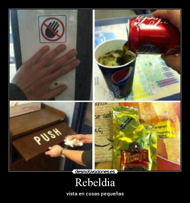 Rebeldia - vista en cosas pequeñas