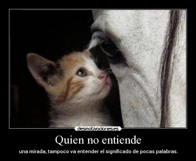 Quien no entiende -