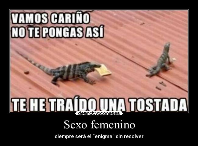 Sexo femenino - siempre será el enigma sin resolver