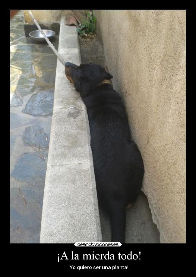 ¡A la mierda todo! - ¡Yo quiero ser una planta!