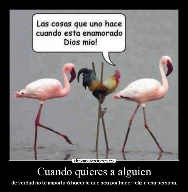 Cuando quieres a alguien -