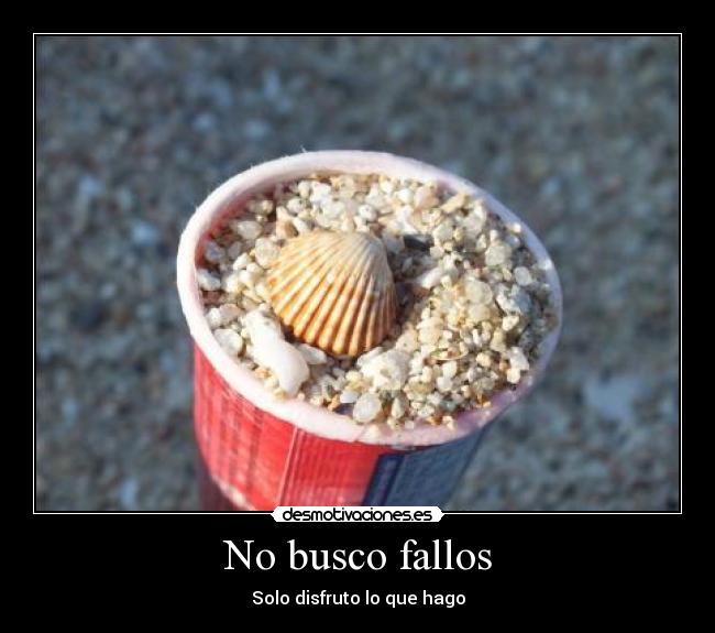 No busco fallos - Solo disfruto lo que hago