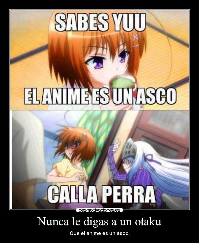 Nunca le digas a un otaku -