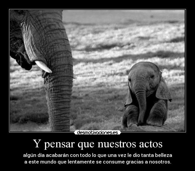 Y pensar que nuestros actos - algún día acabarán con todo lo que una vez le dio tanta belleza
a este mundo que lentamente se consume gracias a nosotros.