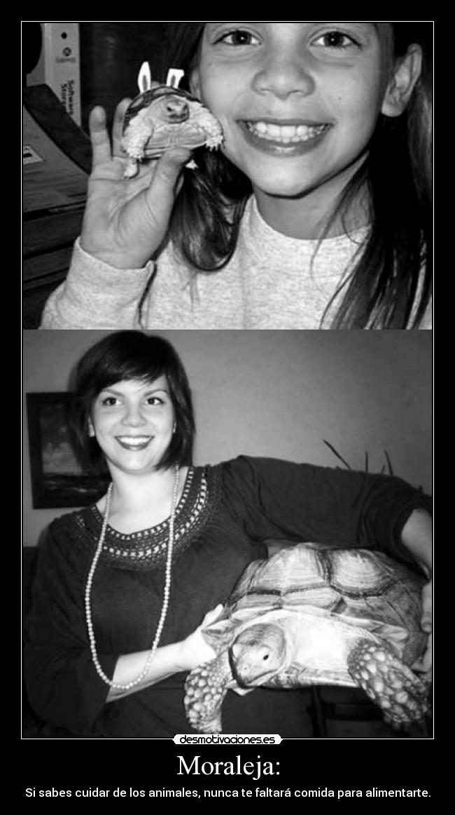 Moraleja: - Si sabes cuidar de los animales, nunca te faltará comida para alimentarte.