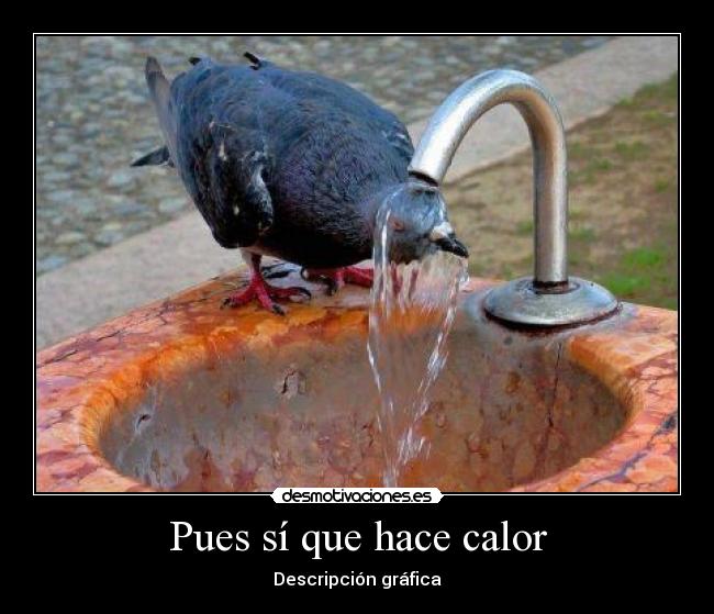 Pues sí que hace calor - Descripción gráfica