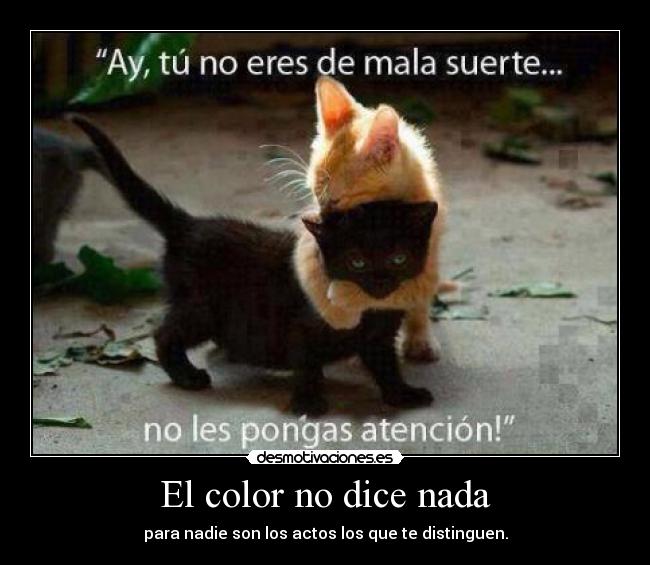 El color no dice nada - para nadie son los actos los que te distinguen.