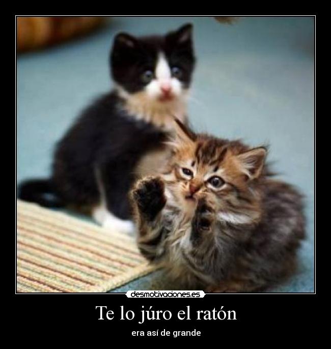 Te lo júro el ratón - era así de grande