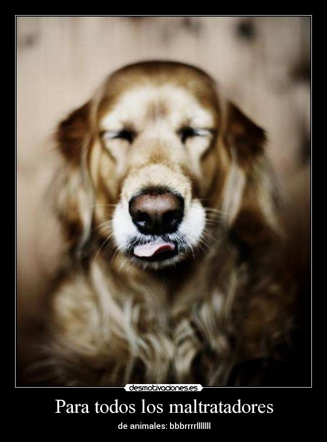 Para todos los maltratadores - de animales: bbbrrrrlllllll