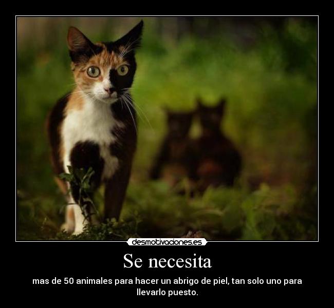 Se necesita -