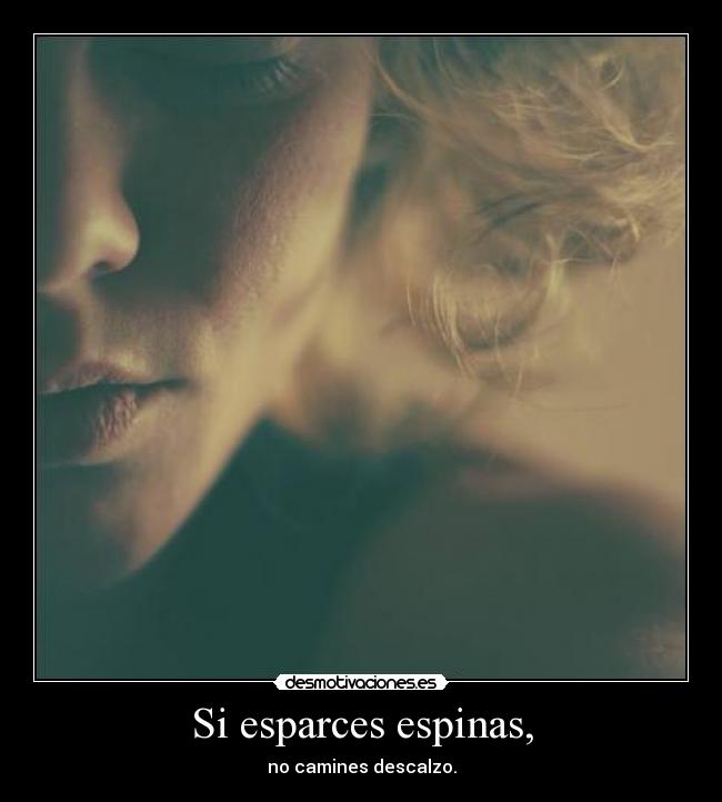 Si esparces espinas, - 