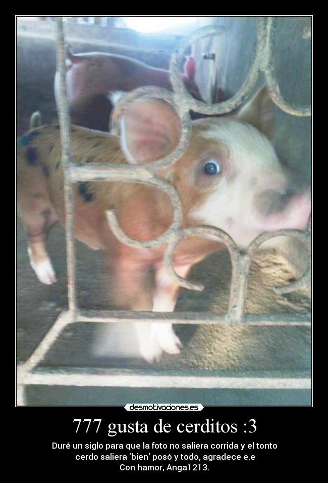 777 gusta de cerditos :3 - Duré un siglo para que la foto no saliera corrida y el tonto
 cerdo saliera bien posó y todo, agradece e.e
Con hamor, Anga1213.