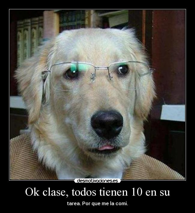 Ok clase, todos tienen 10 en su - 