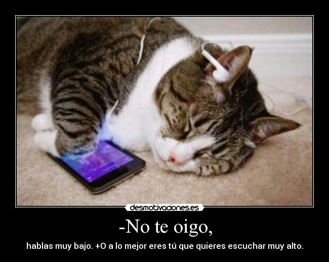 -No te oigo, -