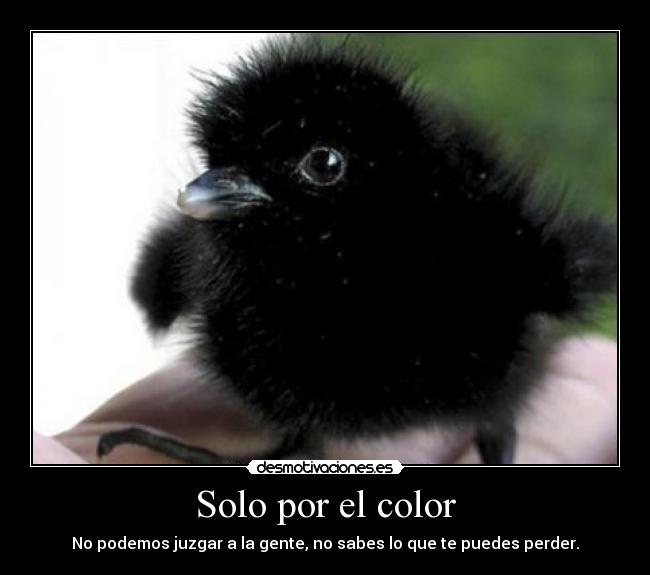 Solo por el color - No podemos juzgar a la gente, no sabes lo que te puedes perder.
