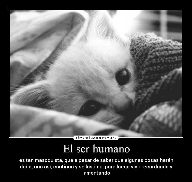 El ser humano -