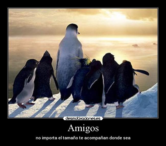 Amigos - no importa el tamaño te acompañan donde sea