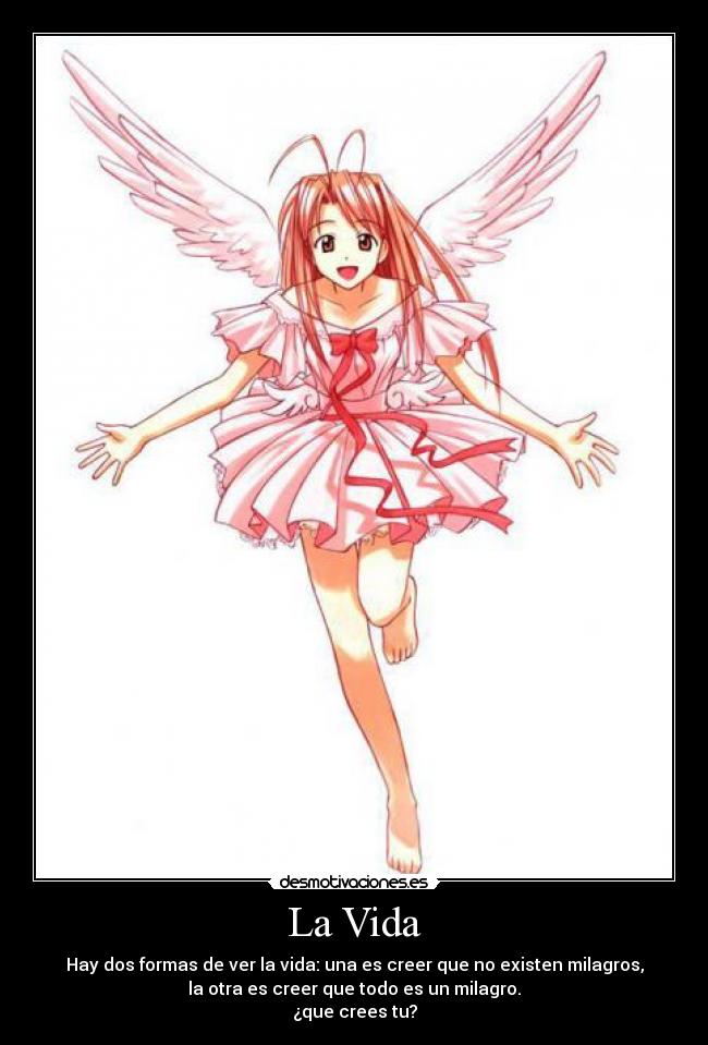 carteles vida vida desmotivaciones