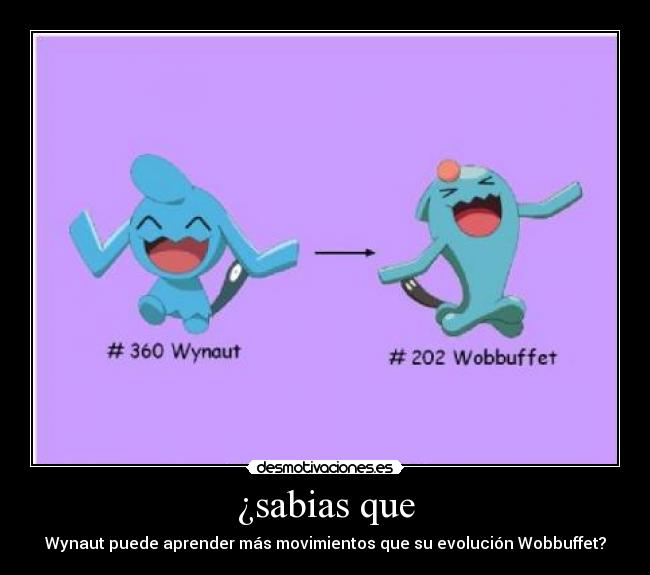 ¿sabias que - Wynaut puede aprender más movimientos que su evolución Wobbuffet?