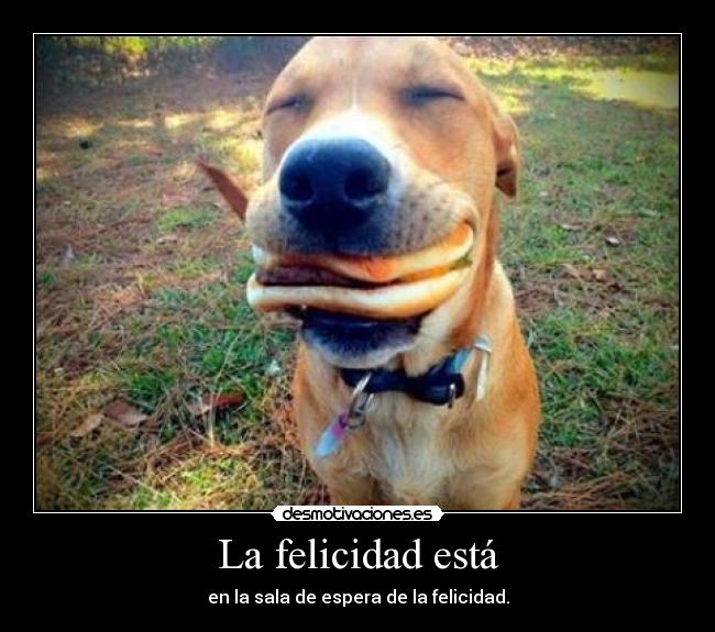 La felicidad está - en la sala de espera de la felicidad.
