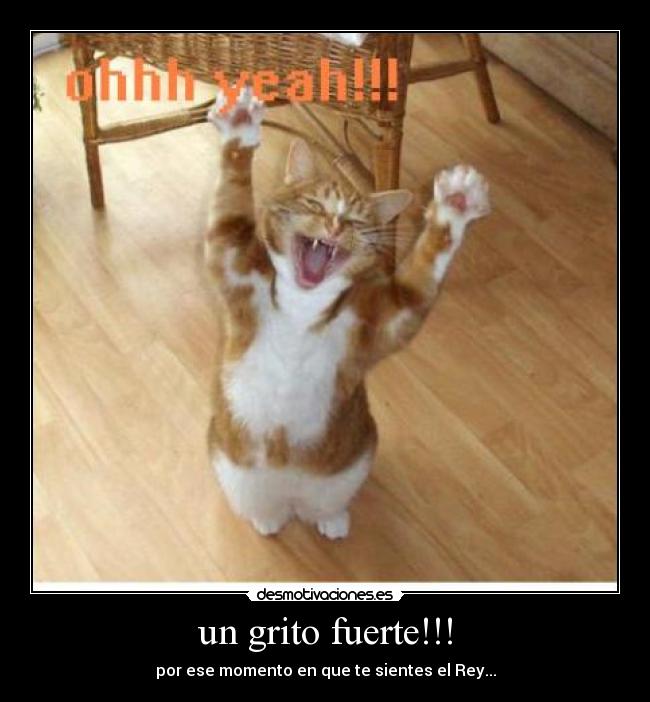 un grito fuerte!!! - 