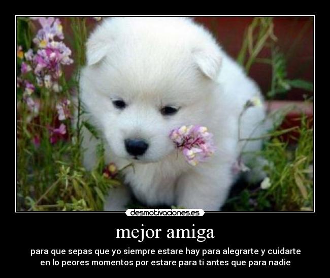 mejor amiga - para que sepas que yo siempre estare hay para alegrarte y cuidarte
en lo peores momentos por estare para ti antes que para nadie