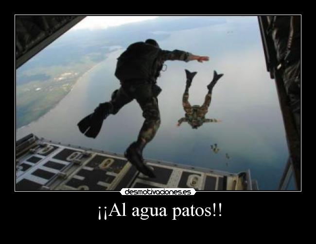 ¡¡Al agua patos!! -