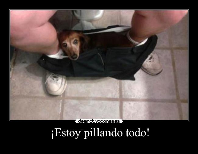 ¡Estoy pillando todo! - 