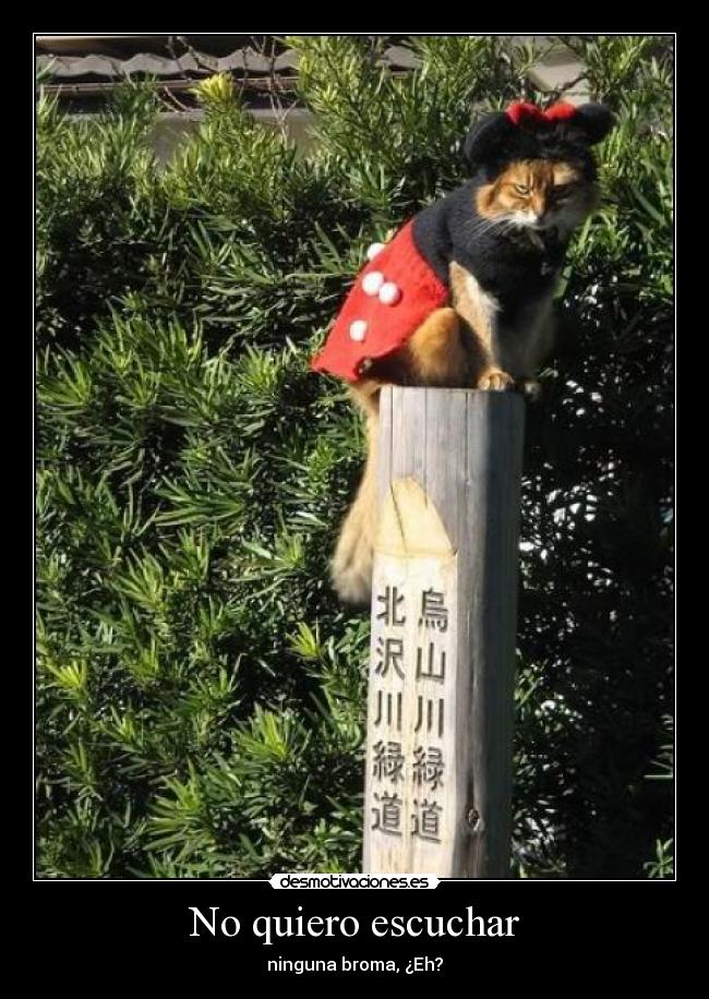 No quiero escuchar - ninguna broma, ¿Eh?
