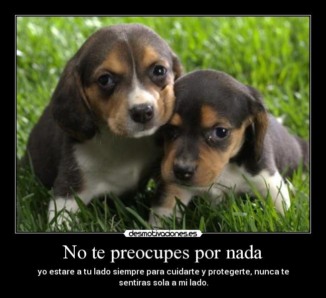 No te preocupes por nada - yo estare a tu lado siempre para cuidarte y protegerte, nunca te
sentiras sola a mi lado.