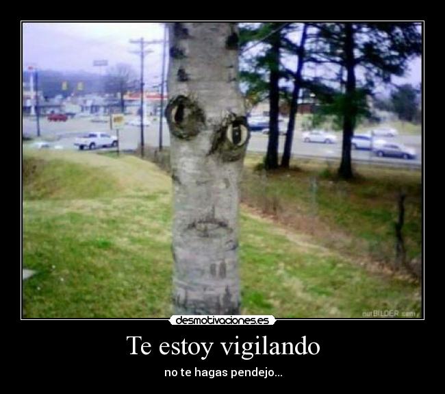Te estoy vigilando - no te hagas pendejo...