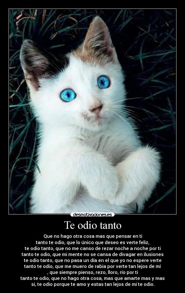 Te odio tanto - 