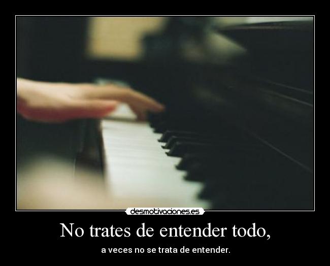 No trates de entender todo, -