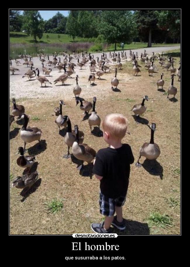 El hombre - que susurraba a los patos.