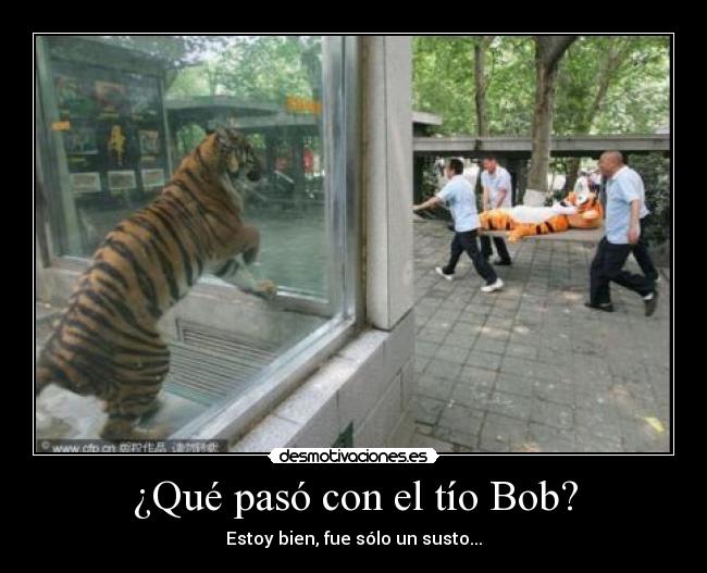 ¿Qué pasó con el tío Bob? - Estoy bien, fue sólo un susto...