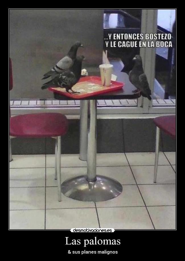 Las palomas - 