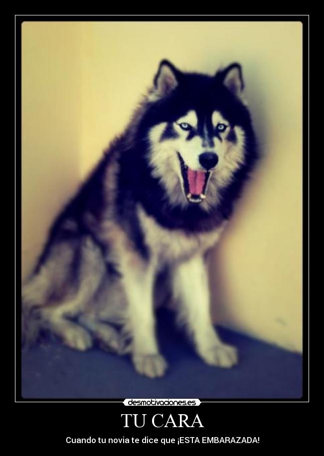 TU CARA - Cuando tu novia te dice que ¡ESTA EMBARAZADA!