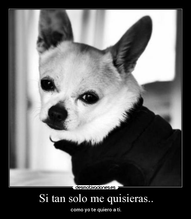 Si tan solo me quisieras.. - como yo te quiero a ti.