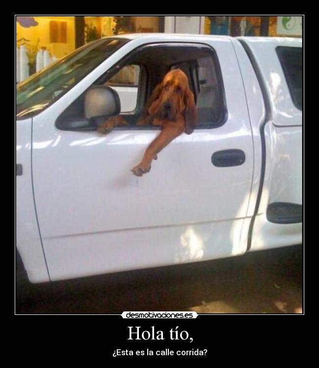 Hola tío, - ¿Esta es la calle corrida?