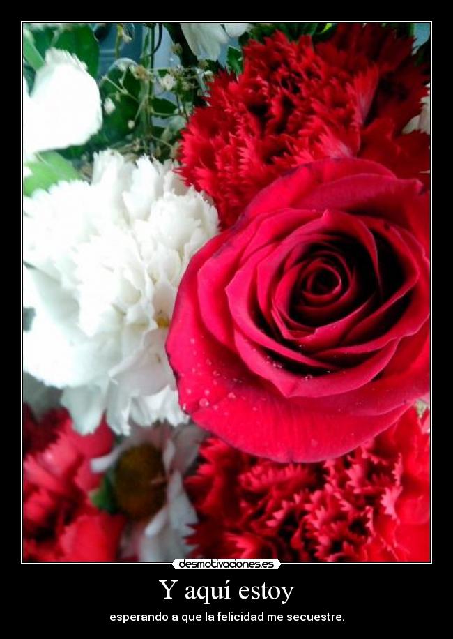 Y aquí estoy - esperando a que la felicidad me secuestre.