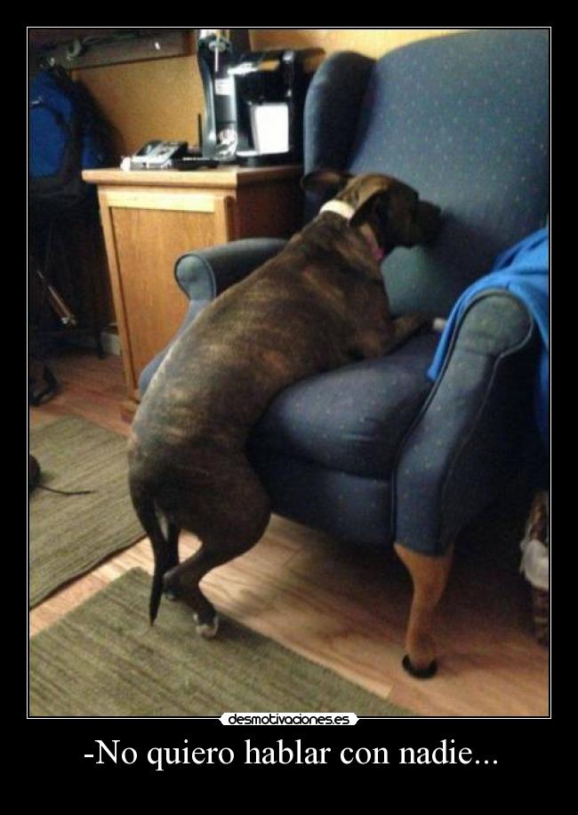 -No quiero hablar con nadie... - 