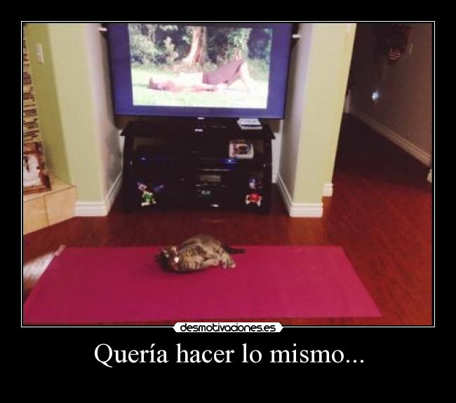 Quería hacer lo mismo... - 